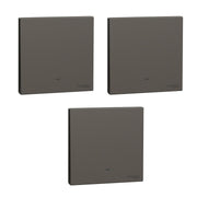 Schneider Electric AvatarOn C Switch With Fluorescent Locator E8731L2F, 1 Gang, 16Ax 250 V 2 Way